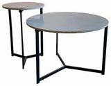 Dakota Coffee Table Set of 2